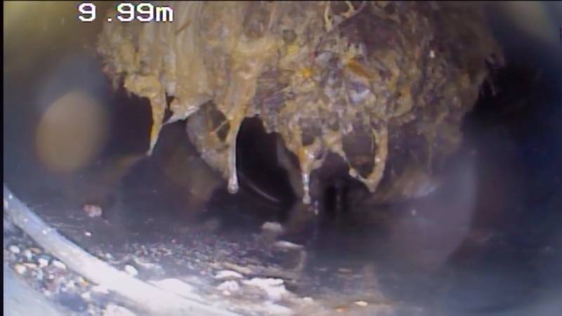 Racines dans une canalisation à Aix en Provence dans une copropriété