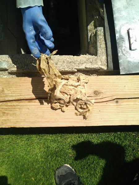 Lingettes bouchent les pompes de relevages d'eaux usées