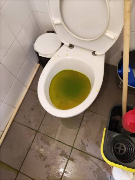 recherche de fuite par fluorescéine d'un wc suspect dans  des bureaux