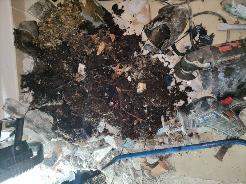 Extraction de racines dans les canalisations d'eaux usées de la copropriété à aix en provence