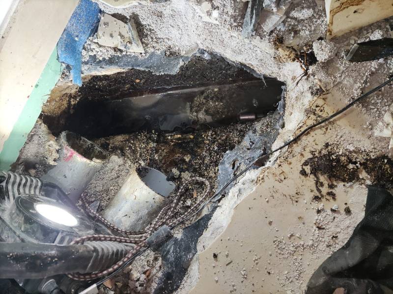 Découverte d'une canalisation enracinée dans une copropriété aux Milles