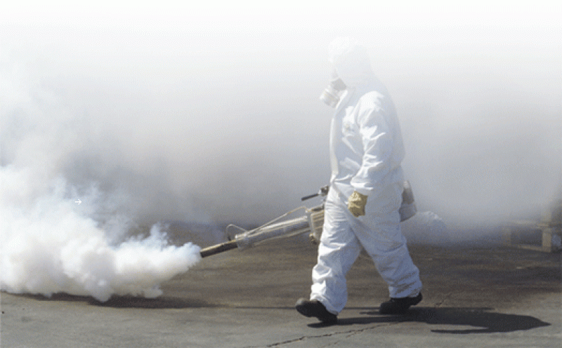 Traitement des nuisibles et cafards par fumigation à Aix en Provence